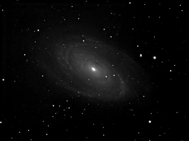 Spiral Galaxy M81 